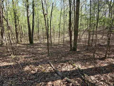 tbd Shawmut Rd, Murfreesboro, AR 71958 photo 26