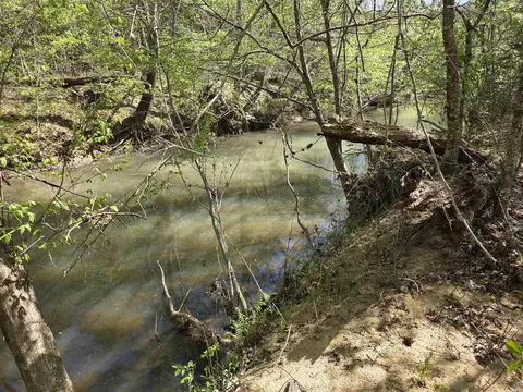 tbd Shawmut Rd, Murfreesboro, AR 71958 photo 13