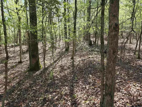 tbd Shawmut Rd, Murfreesboro, AR 71958 photo 22