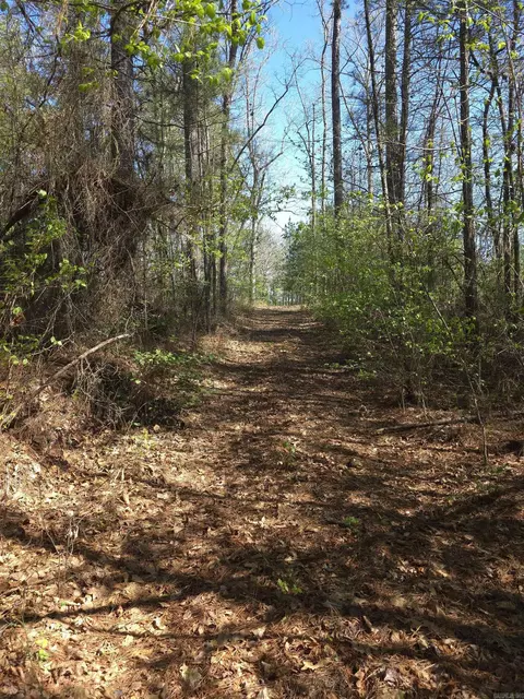 tbd Shawmut Rd, Murfreesboro, AR 71958 photo 37