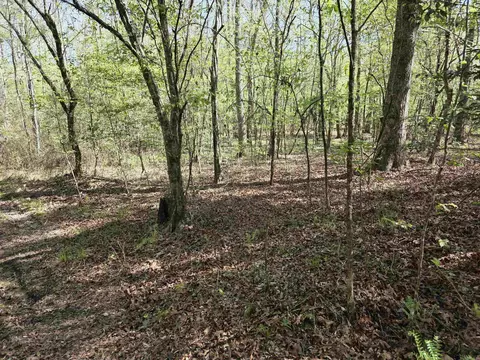tbd Shawmut Rd, Murfreesboro, AR 71958 photo 19
