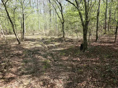 tbd Shawmut Rd, Murfreesboro, AR 71958 photo 20