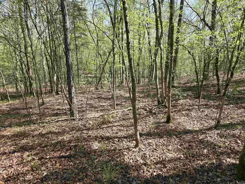 tbd Shawmut Rd, Murfreesboro, AR 71958 photo 21