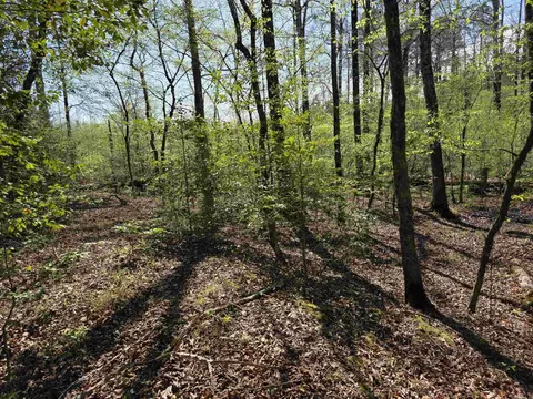 tbd Shawmut Rd, Murfreesboro, AR 71958 photo 6