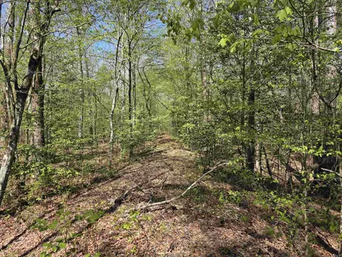 tbd Shawmut Rd, Murfreesboro, AR 71958 photo 3