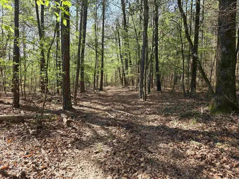 tbd Shawmut Rd, Murfreesboro, AR 71958 photo 31