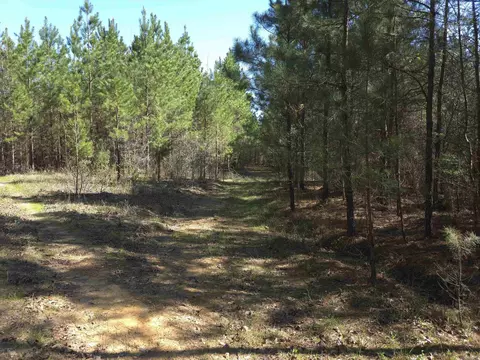 tbd Shawmut Rd, Murfreesboro, AR 71958 photo 42