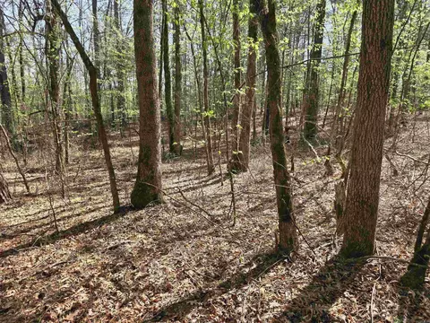 tbd Shawmut Rd, Murfreesboro, AR 71958 photo 27