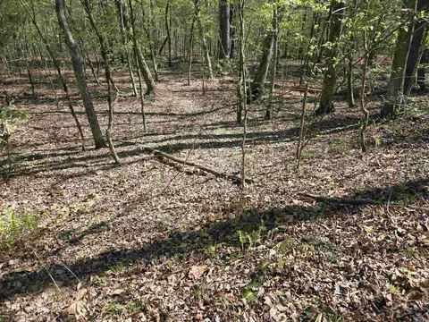 tbd Shawmut Rd, Murfreesboro, AR 71958 photo 8