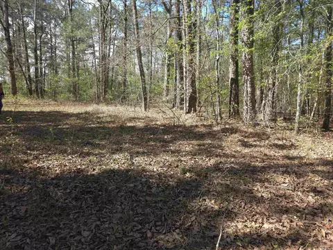 tbd Shawmut Rd, Murfreesboro, AR 71958 photo 34
