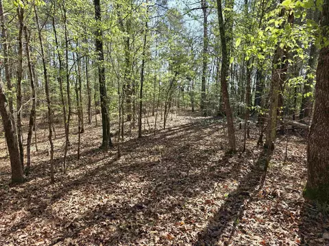 tbd Shawmut Rd, Murfreesboro, AR 71958 photo 29