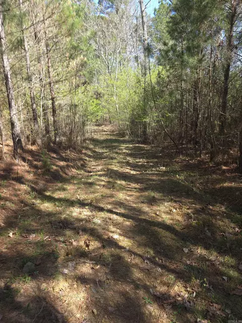 tbd Shawmut Rd, Murfreesboro, AR 71958 photo 39