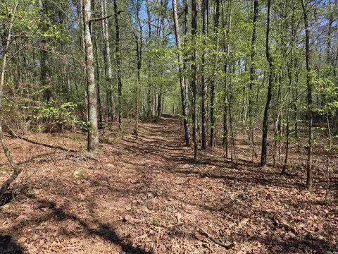tbd Shawmut Rd, Murfreesboro, AR 71958 photo 30