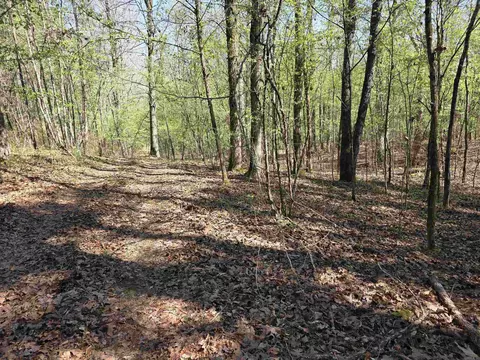 tbd Shawmut Rd, Murfreesboro, AR 71958 photo 25
