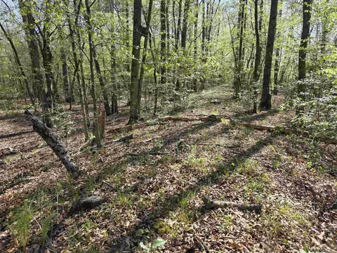 tbd Shawmut Rd, Murfreesboro, AR 71958 photo 15