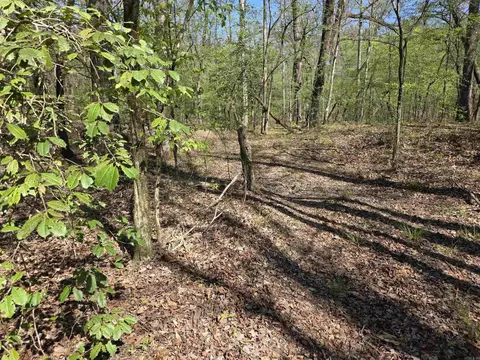 tbd Shawmut Rd, Murfreesboro, AR 71958 photo 16