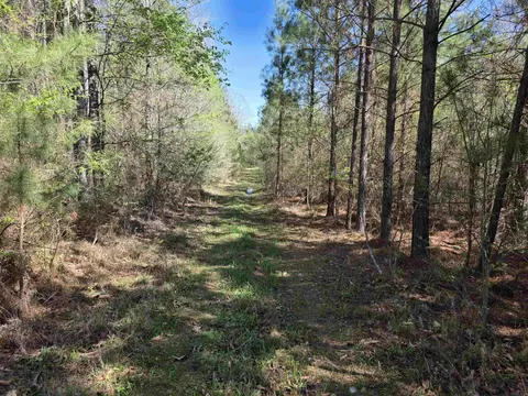 tbd Shawmut Rd, Murfreesboro, AR 71958 photo 44