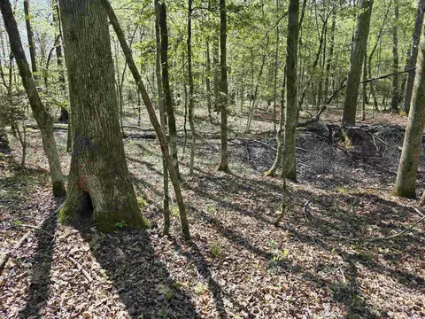 tbd Shawmut Rd, Murfreesboro, AR 71958 photo 7