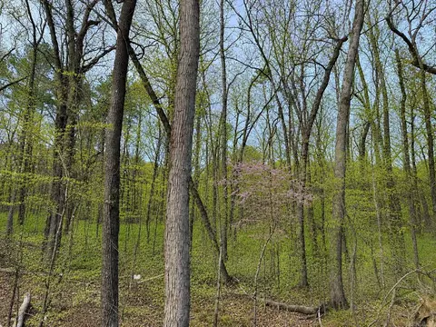 Other - 7166 Moon View Pl, Alexander, AR 72002 photo 9 of 11