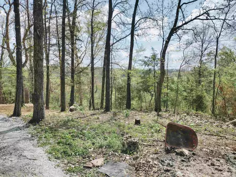 Exterior - 616 Roasting Ear Rd, Onia, AR 72663 photo 5 of 11