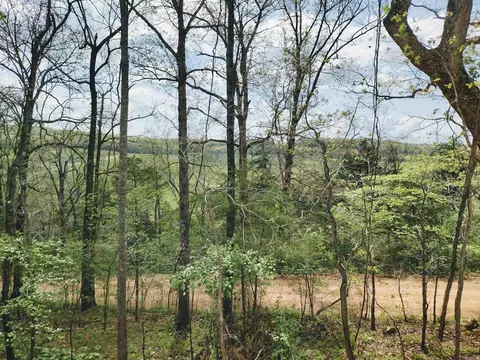 Exterior - 616 Roasting Ear Rd, Onia, AR 72663 photo 8 of 11