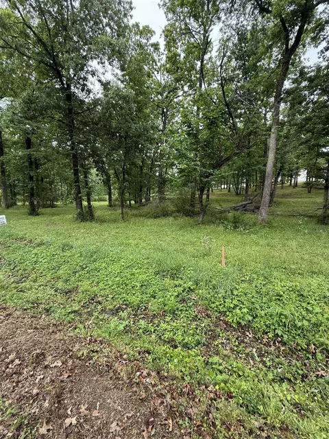 00 Sun Vis, Cabot, AR 72023 photo 6
