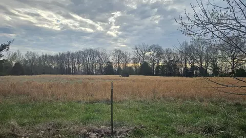 358 Clay 485 Rd, Rector, AR 72461 photo 5