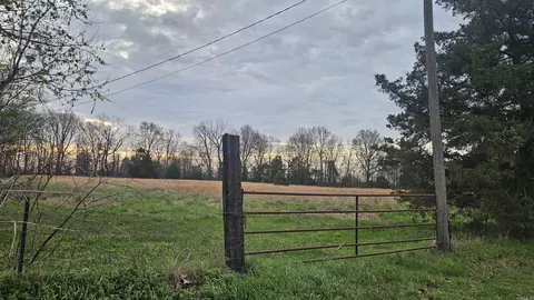 358 Clay 485 Rd, Rector, AR 72461 photo 4