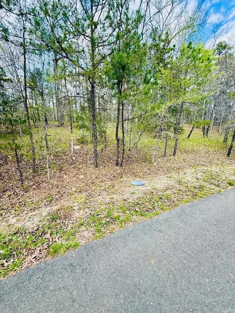 00 Halago Pl, Hot Springs Village, AR 71909