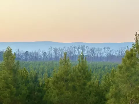 18 Avalon Lane, Mena, AR 71953 photo 10