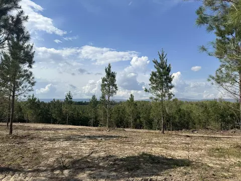 18 Avalon Lane, Mena, AR 71953 photo 7