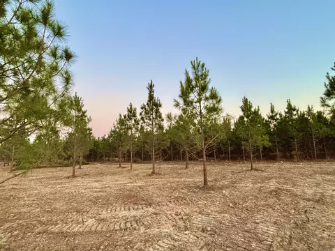 18 Avalon Lane, Mena, AR 71953 photo 9