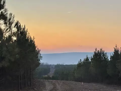 18 Avalon Lane, Mena, AR 71953 photo 12