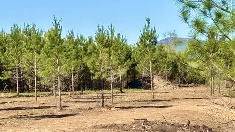 19 Avalon Lane, Mena, AR 71953 photo 7