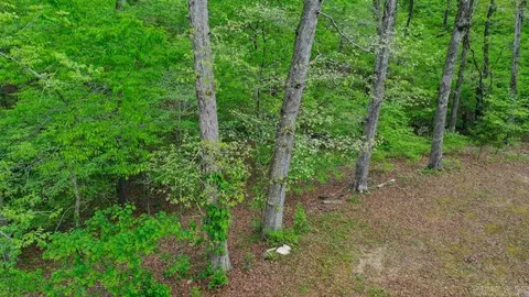 Exterior - 181 Bearce Cir, Mount Ida, AR 71957 photo 3 of 12