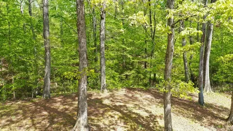 Exterior - 181 Bearce Cir, Mount Ida, AR 71957 photo 6 of 12