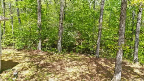 Exterior - 181 Bearce Cir, Mount Ida, AR 71957 photo 4 of 12