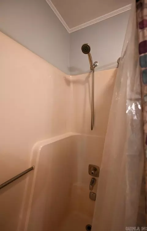 Bath - 181 Bearce Cir, Mount Ida, AR 71957 photo 3 of 4