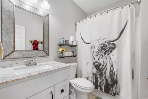 Bath - 126 Coyote Cir, Ward, AR 72176 photo 3 of 4