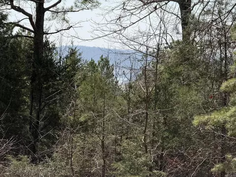 000 Foxcroft Ln, Elizabeth, AR 72531