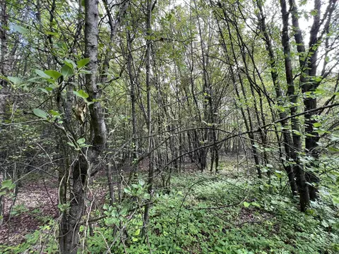269 Walker Rd, Higginson, AR 72068 photo 4