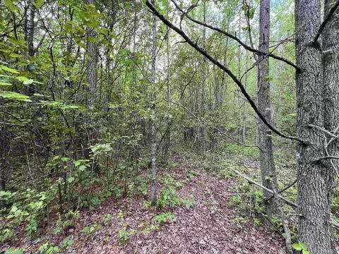 269 Walker Rd, Higginson, AR 72068 photo 7