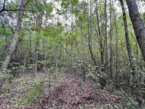 269 Walker Rd, Higginson, AR 72068 photo 6