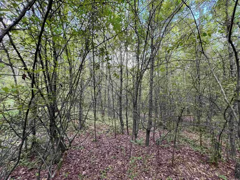 269 Walker Rd, Higginson, AR 72068 photo 2