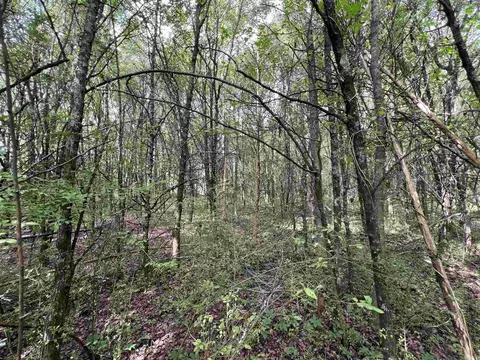 269 Walker Rd, Higginson, AR 72068 photo 8
