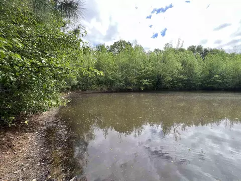 269 Walker Rd, Higginson, AR 72068 photo 11