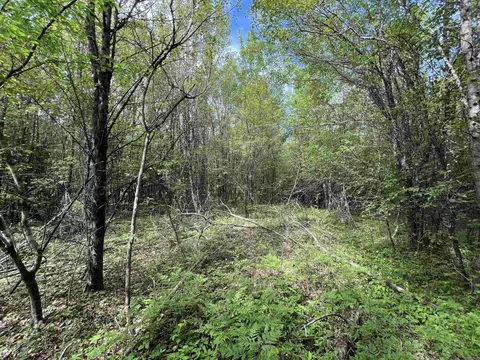 269 Walker Rd, Higginson, AR 72068 photo 5