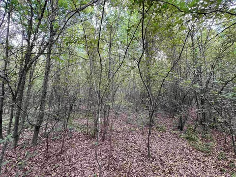 269 Walker Rd, Higginson, AR 72068 photo 3