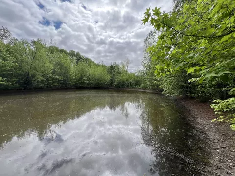 269 Walker Rd, Higginson, AR 72068 photo 10