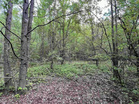 269 Walker Rd, Higginson, AR 72068 photo 9